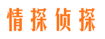 小河市私家侦探